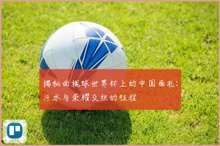 揭秘曲棍球世界杯上的中国面孔：汗水与荣耀交织的征程