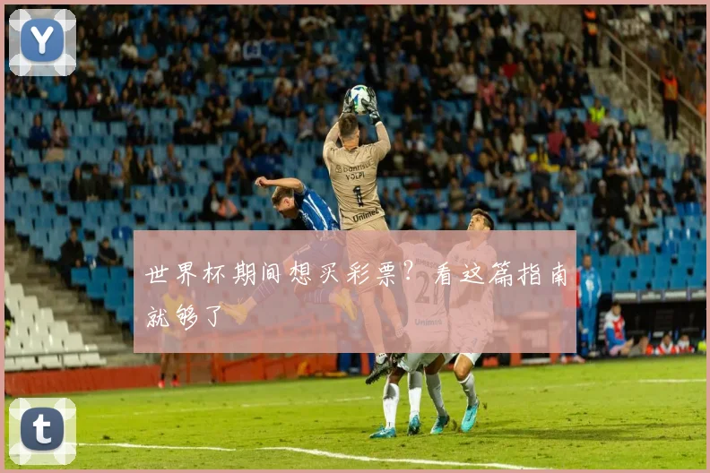 世界杯期间想买彩票？看这篇指南就够了