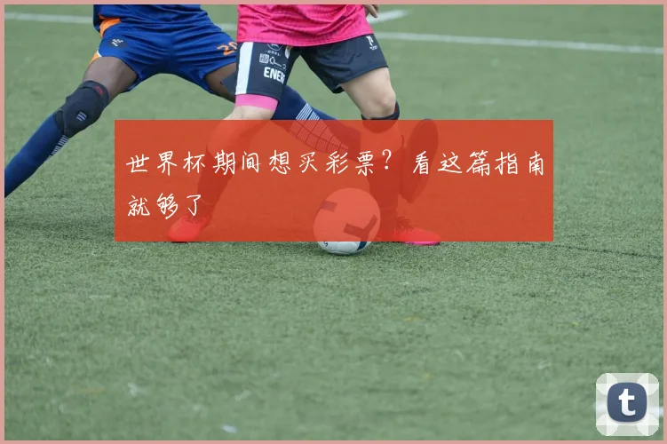 世界杯期间想买彩票？看这篇指南就够了