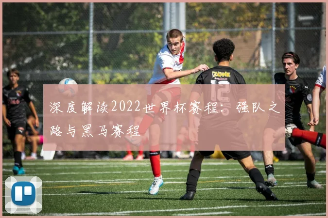 深度解读2022世界杯赛程：强队之路与黑马赛程