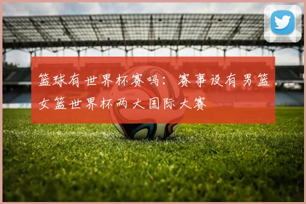 篮球有世界杯赛吗：赛事设有男篮女篮世界杯两大国际大赛